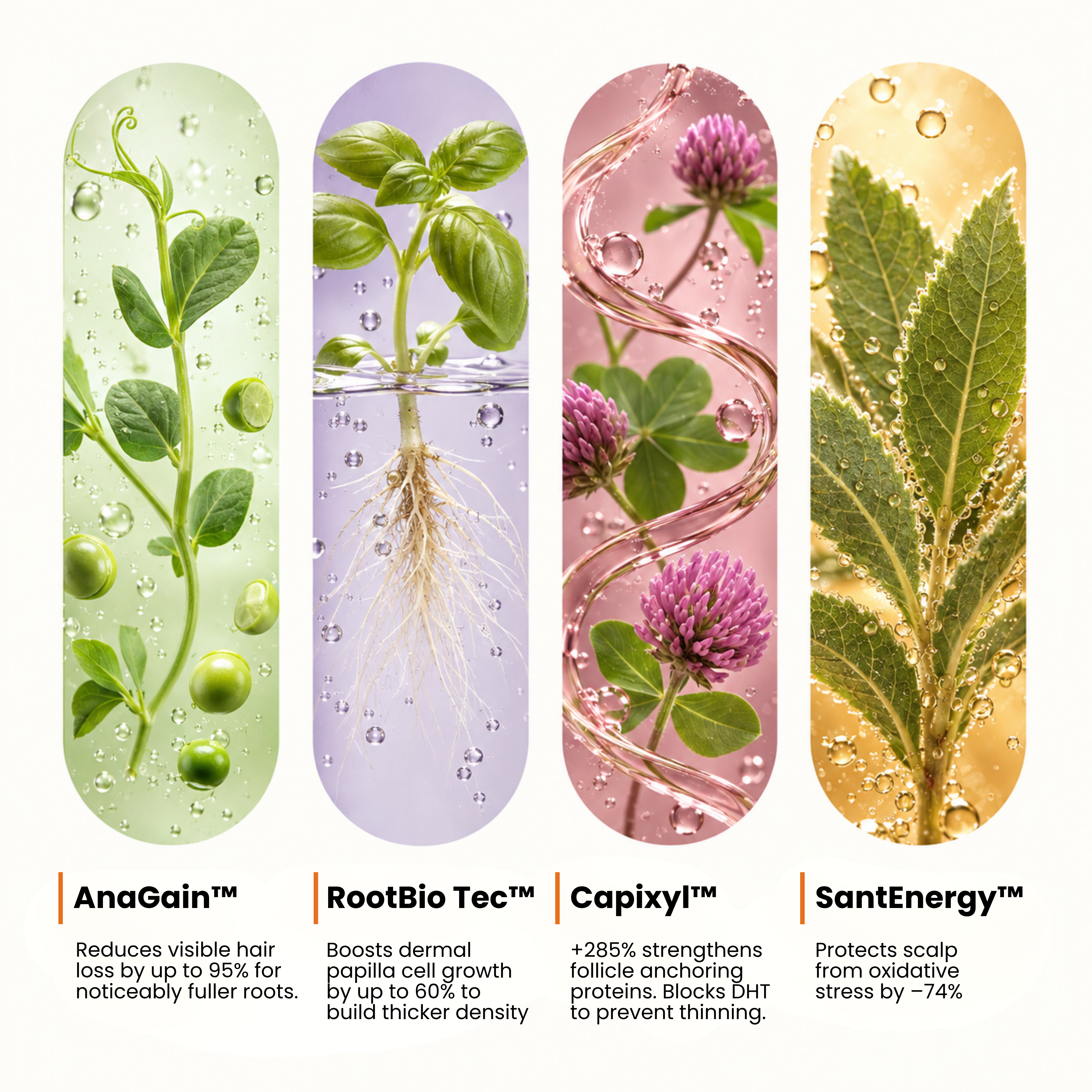 RootRecovery Tonic
